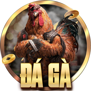 BAOSTING - da ga 300x300 1